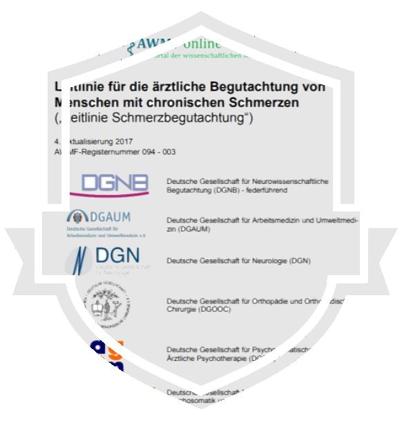Leitlinie für die ärztliche Begutachtung vonMenschen mit chronischen Schmerzen
