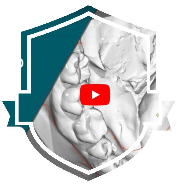 OnyxCeph Aligner Tutorial Teil 1: Datenimport